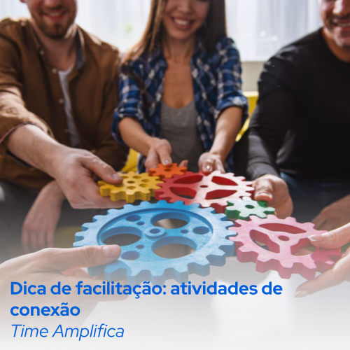 Capa do produto: Dica de facilitação: atividades de conexão